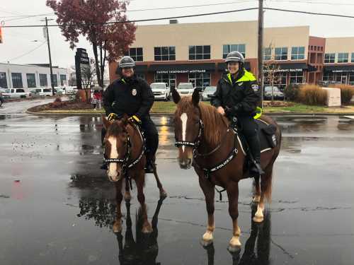 Mounted Patrol Unit in the Christmas Parade